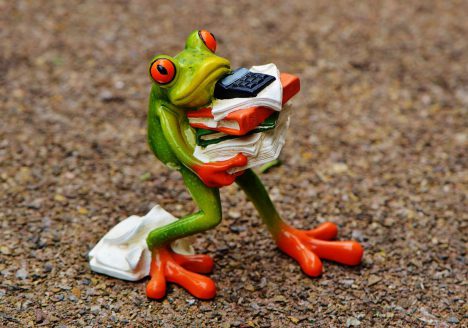 Ein Frosch trägt Bücher und ein Telefon. Bild ist dekorativ.